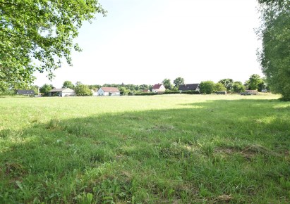 działka na sprzedaż - Lubin (gw), Miłoradzice